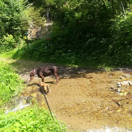 Panni Διαμέρισμα Döbriach