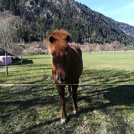 Panni Διαμέρισμα